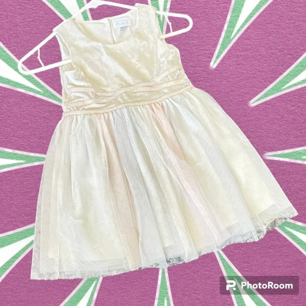 The Children’s Place Ivory Velvet & Tulle Dress Size 5T